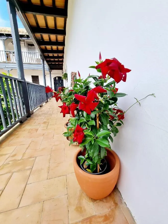 Apartamento Con Patio Sevillano 0*, Seville Spain