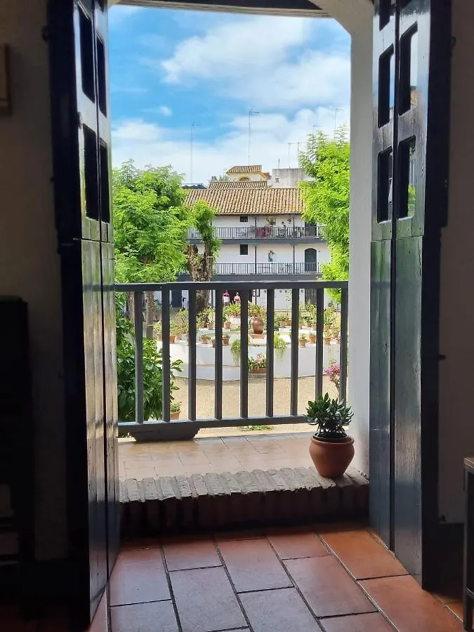 Apartamento Con Patio Sevillano Apartment Seville