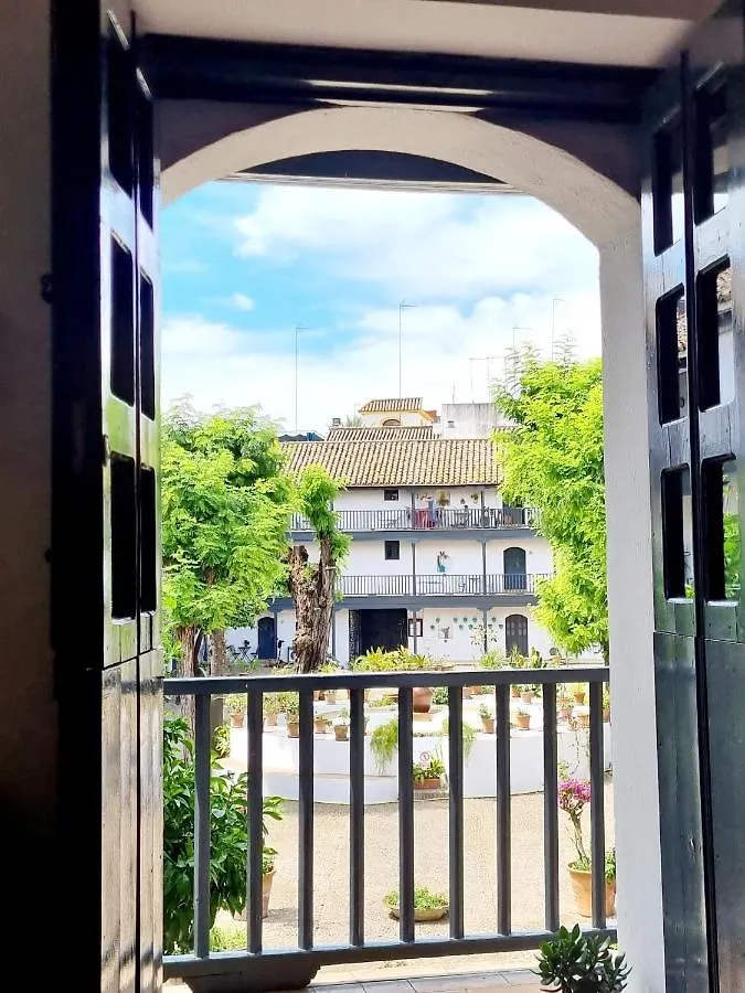 Apartment Apartamento Con Patio Sevillano Spain